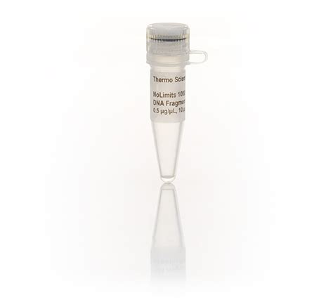 Thermo Scientific NoLimits 1000 bp DNA Fragment